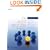 The Audit Process: Principles, Practice and Cases