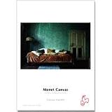 Hahnemuhle 11.7 x 16.5 inch Monet Fine Art Canvas, Textured Bright White Surface, 410 gsm, 100% Cotton Genuine, 25 Sheets