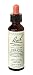 Cerato 20ml from Bach Flower Remedies