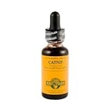 Catnip Extract 1 Ounces