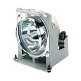 Replacement Lamp Module for PJD6251
