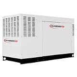 Guardian Elite 48 kW Standby Power Generator (120/208V Premium-Grade) - QT04842GNAN