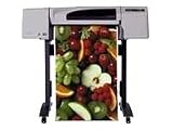 HP DesignJet 500ps Plus - 24 imprimante grand format - couleur - jet d encre - Rouleau A1 (61,0 cm x 45,7 m), 610 x 1897 mm - 1200 ppp x 600 ppp jusqu à 7.9 m2/heure (couleur) - parallèle, USB