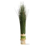Large Bundled Onion Grass 21esz1xEI0L. SL160 Large Bundled Onion Grass