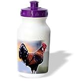 Farm Animals - Rooster - Water Bottles