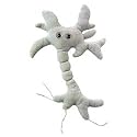 Brain Cell Mini Plush in Petri Dish by Giant Microbes