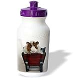 Cassie Peters Guinea Pig - Baby Guinea Pig in Sleigh photography by Angelandspot - Water Bottles