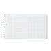 Wilson Jones Ring Ledger Sheets, 5 x 8.5 Inches, 24 Pound Paper, White, 100 Sheets per Pack (W758-50A)