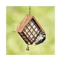 Deluxe Metal Suet Cage by