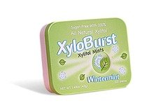 Xyloburst Xylitol Mint Tin, Wintermint, 100 Count