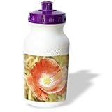 Patricia Sanders Flowers - Red Poppy Flower- Floral Photography- Nature - Water Bottles
