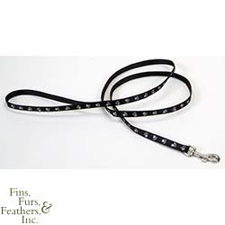 Coastal Pet Pet Attire Nylon Dog Leash / Lead (Special Paws, 4 ft. L x 1 Inch W)
