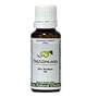 Homeopathic FCV Protect - Homeopathic product to temporarily relieve sneezing, nasal congestion and watery eyes in your cat