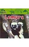 Lemurs (Amazing Animals)