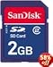 SanDisk 2 GB Class 2 SD Flash Memory Card SDSDB-2048-A11