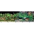 Double Sided Tropical Fresh Aquarium Background, 24" x 50"