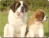 NEW-ST.BERNARD +PUP Mouse Mat / Pad