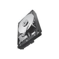 Seagate Constellation ES.2 ST33000650NS 3 TB Internal Hard Drive