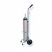 PORTABLE OXYGEN SYSTEM E TANK CYLINDER WITH CART & 15 LPM REGULATOR