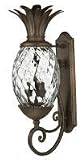 Anana Plantation Collection 28 High Outdoor Wall Light