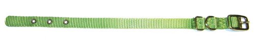 HAMILTON DOG ST NYLON DELUXE COLLAR 5 8X14 LIME