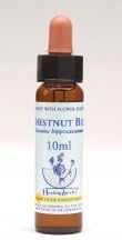 CHESTNUT BUD Healing Herbs Bach Flower Remedies 10ml by Healingherbs