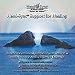 Hemi-Sync Binaural Beat CD: Support for Healing (Hemi-Sync Binaural Beat Metamusic CD: Support for Healing, Metamusic)