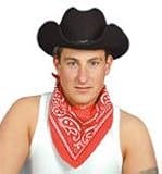 Fancy Dress Cowboy Bandana