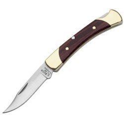Buck Folding Hunter 55 by Pachi Paradice