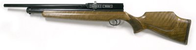 Webley Raider 10 air rifle