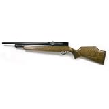 Webley Raider 10 air rifle by 