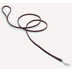 Coastal Pet Circle T Latigo Leather Dog Leash Training Leash / Lead (6 ft. x ...