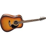 Seagull Coastline Burst Gloss Top Quantum Acoustic/Electric Guitar