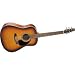 Seagull Coastline Burst Gloss Top Quantum Acoustic/Electric Guitar