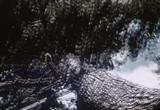 Look to the Land (1953), A Classic Film that deals with the widespread environmental problems that were starting to emerge in the US mid-century.