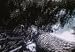 Look to the Land (1953), A Classic Film that deals with the widespread environmental ...