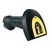21f4jhbcPFL. SL75  Barcode, BarCodes, Barcoding    Whats it all about