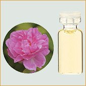 【生活の木】ダマスクローズ（ローズオットー） 3mL