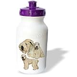 Dogs Soft Coated Wheaten Terrier - Soft Coated Wheaten Terrier - Water Bottles