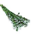 Dollhouse Miniature Set of 6 English Ivy Stems