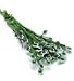 Dollhouse Miniature Set of 6 English Ivy Stems