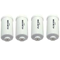 Berkey PF-4 Fluoride / Arsenic Filter - Fits Berkey Ceramic Filters Only