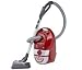 ROWENTA Aspirateur Silence Force RO4520