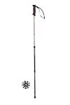 Ferrino coppia bastoncini trekking Totem