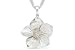 1/6 Carat Chocolate Diamond Sterling Silver Pendant w/Chain