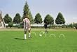 Soccer Accu-arches - Set of 8
