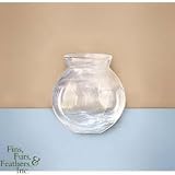 Glass Ivy Bowl For Betta - 4 - Clear