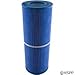 Filbur FC-2375M Antimicrobial Replacement Filter Cartridge for Rainbow/Pentair Dynamic 25 Microban Pool and Spa Filter