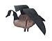 Sporting Goods : Lucky Dog Bandit Silhouette Wings