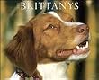 Just Brittanys 2010 Wall Calendar